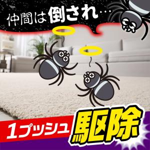 おすだけクモアーススプレー 屋内用 60回分の詳細画像5