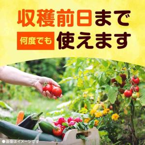 【ポイント10倍】【農薬】ロハピ 1000mlの詳細画像5
