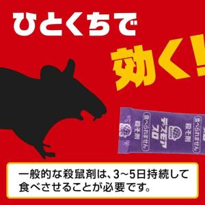 アース製薬 デスモアプロ 投げ込みタイプ 5g...の詳細画像4