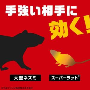 アース製薬 デスモアプロ 投げ込みタイプ 5g...の詳細画像5