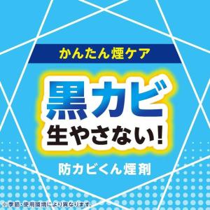 アース らくハピ お風呂カビーヌ フレッシュソ...の詳細画像2