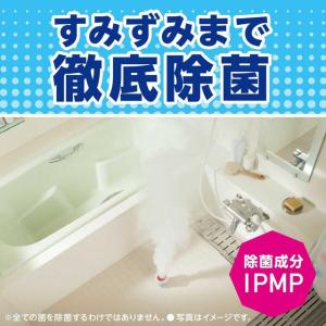 アース らくハピ お風呂カビーヌ フレッシュソ...の詳細画像3