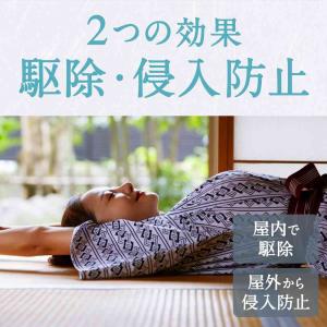【防除用医薬部外品】アース製薬 アースノーマッ...の詳細画像3