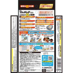 【防除用医薬部外品】アース ブラックキャップ ...の詳細画像1