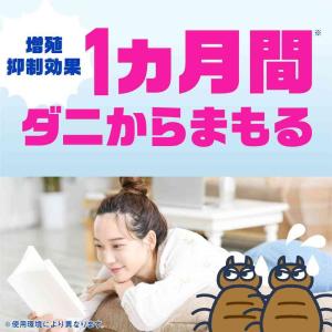 【防除用医薬部外品】アース製薬 ダニアーススプ...の詳細画像3