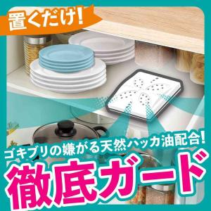 【防除用医薬部外品】アース製薬 アースゴキブリ...の詳細画像2