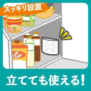 【防除用医薬部外品】アース製薬 アースゴキブリ...の詳細画像3