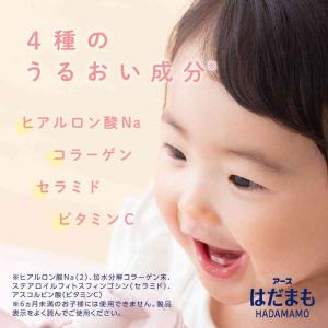 【防除用医薬部外品】アース製薬 はだまも ミス...の詳細画像4