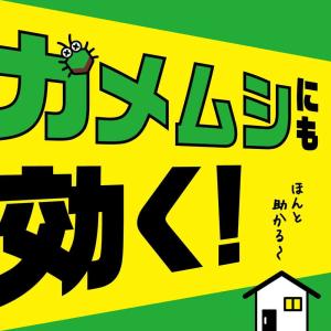 アース製薬 ハチアブ マグナムジェット 550mlの詳細画像3
