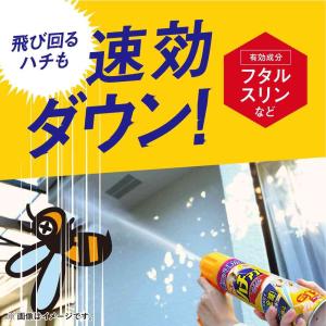 アース製薬 ハチアブ マグナムジェット 550mlの詳細画像5