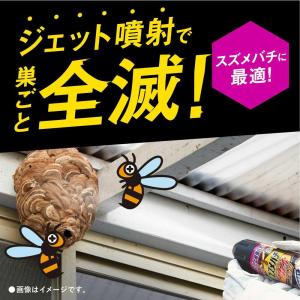 アース スズメバチマグナムジェットプロ 550mlの詳細画像2