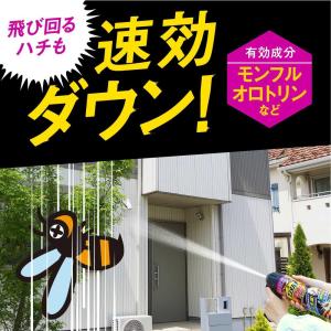 アース スズメバチマグナムジェットプロ 550mlの詳細画像4