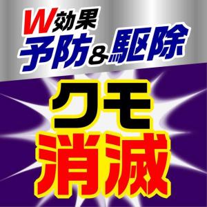 アース製薬 クモの巣消滅ジェット 450mL缶の詳細画像1