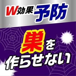 アース製薬 クモの巣消滅ジェット 450mL缶の詳細画像2
