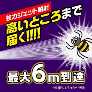 アース製薬 クモの巣消滅ジェット 450mL缶の詳細画像5