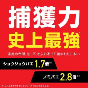 【ポイント10倍】コバエがホイホイ 2個入の詳細画像4