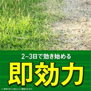【農薬】アースガーデン アースカマイラズ 草消...の詳細画像3
