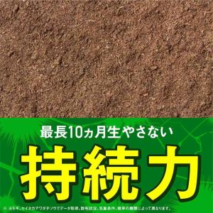【農薬】アースガーデン アースカマイラズ 草消...の詳細画像4