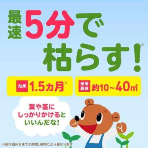 アースガーデン おうちの草コロリ ジョウロヘッ...の詳細画像4