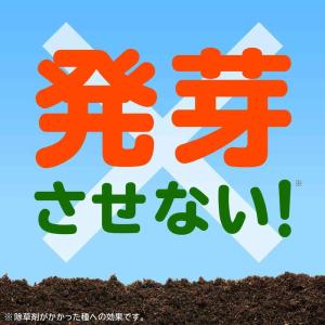 アースガーデン おうちの草コロリ 詰替 1700mlの詳細画像4