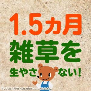 アースガーデン おうちの草コロリ 詰替 1700mlの詳細画像5