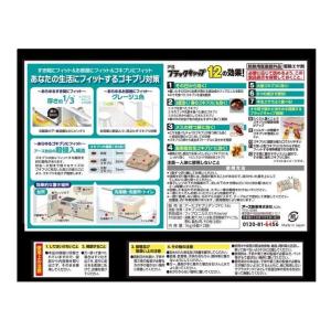 【防除用医薬部外品】アース製薬 ブラックキャッ...の詳細画像1