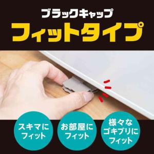【防除用医薬部外品】アース製薬 ブラックキャッ...の詳細画像2