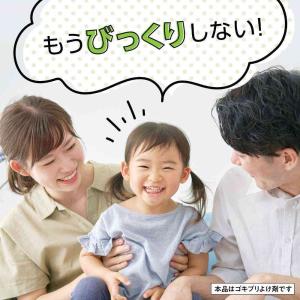 【防除用医薬部外品】アース製薬 マモルーム ゴ...の詳細画像2