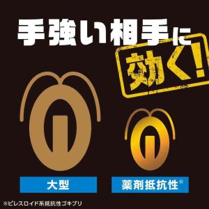 【防除用医薬部外品】アース製薬 ブラックキャッ...の詳細画像5