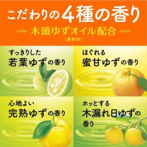 【医薬部外品】アース製薬 温泡 ONPO こだ...の詳細画像4