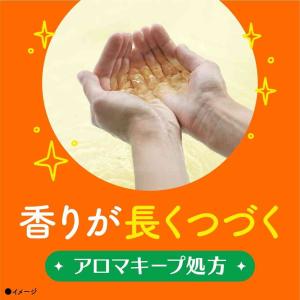 【医薬部外品】アース製薬 温泡 ONPO こだ...の詳細画像5