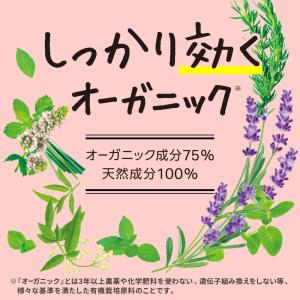 衣類防虫ケア natuvo 引き出し・衣装ケー...の詳細画像1