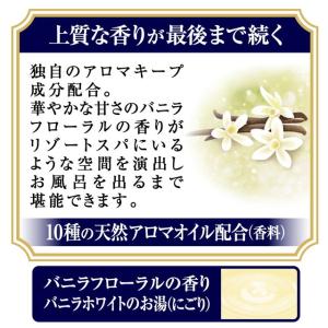 【医薬部外品】アース製薬 バスロマン プレミア...の詳細画像3