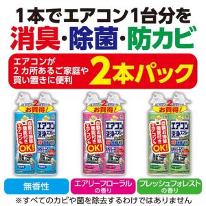 【ポイント10倍】アース製薬 エアコン洗浄スプ...の詳細画像1