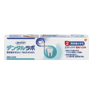 グラクソ スミスクライン デンタルラボ 部分入れ歯専用 薬用ハミガキ 100g