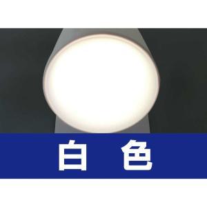 エルパ ELPA LEDセンサー付ライト ナイ...の詳細画像2