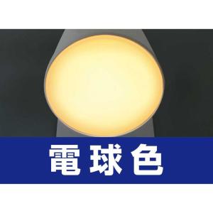 エルパ ELPA LEDセンサー付ライト ナイ...の詳細画像3