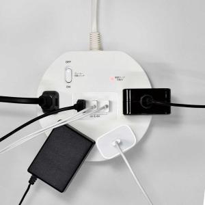 朝日電器 エルパ ELPA 耐雷丸形4P2mU...の詳細画像3