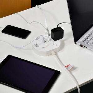 朝日電器 エルパ ELPA 耐雷丸形4P2mU...の詳細画像4