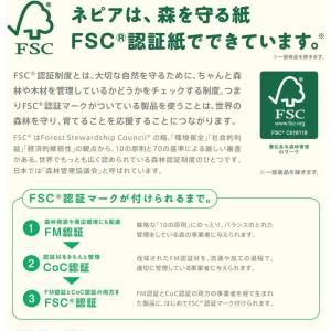 ネピア よそいき保湿ソフトパックティシュポケッ...の詳細画像1