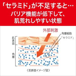花王 キュレル(cureL) 泡洗顔料 詰替 ...の詳細画像4