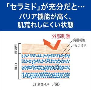 花王 キュレル(cureL) 泡洗顔料 詰替 ...の詳細画像5