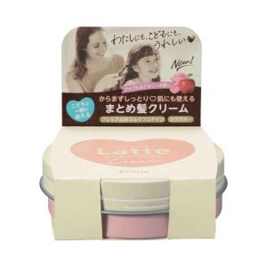 SHISEIDO（資生堂） アウスレーゼ ブリランチンN ポマード 80g : フジ