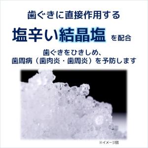 サンスター 薬用メディカつぶつぶ塩 170gの詳細画像1