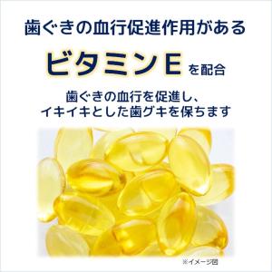 サンスター 薬用メディカつぶつぶ塩 170gの詳細画像2