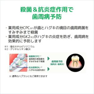ガム歯周プロケアデンタルジェル[電動ハブラシ用]の詳細画像2