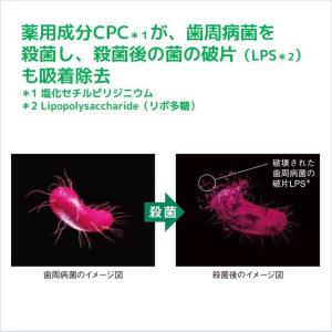 ガム・デンタルペースト155gの詳細画像4