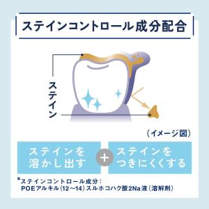 オーラツーミー ステインクリア ペースト[ピー...の詳細画像4