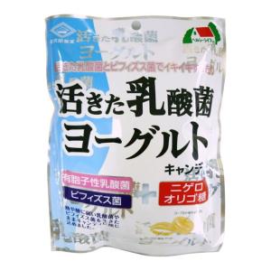 【廃盤】◆佐久間（サクマ） 活きた乳酸菌ヨーグルトキャンディ 90g【3個セット】