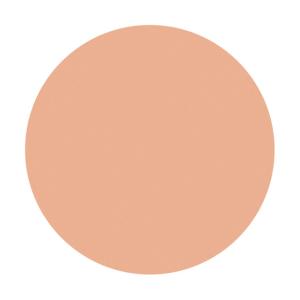 【ポイント5倍】資生堂 スポッツカバー ファウ...の詳細画像2